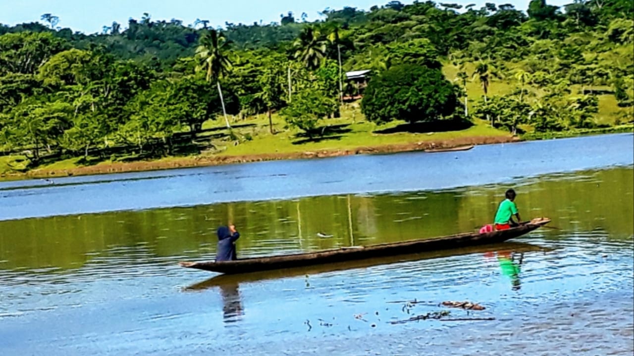 INDIGENA1